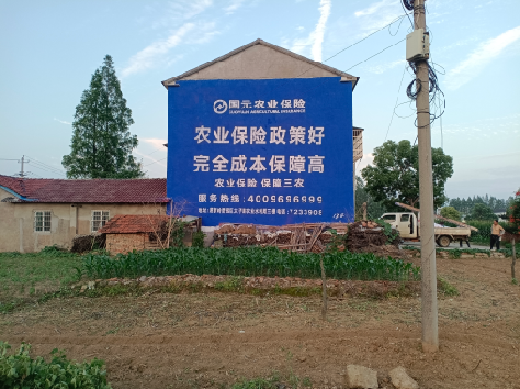 南平墙体广告为何受追捧？